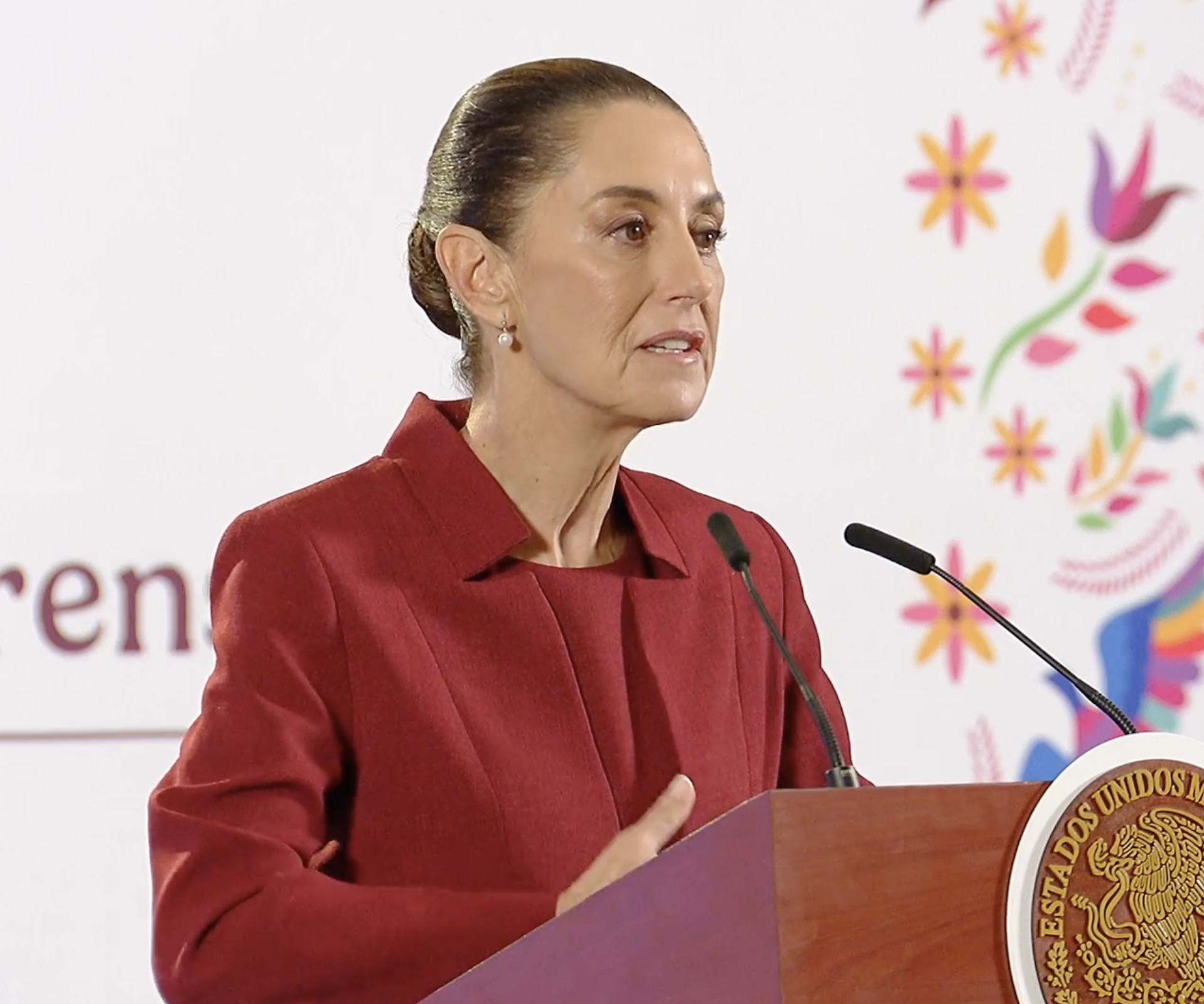 ¿Qué opina el Gobierno Federal respecto al precio del gas LP?   